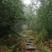 Cyril Roberts Photo 16