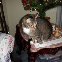 Barbara Lowry Photo 9