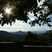 Shelley Hill Photo 48