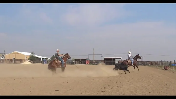 Bryan Hermanson Photo 11