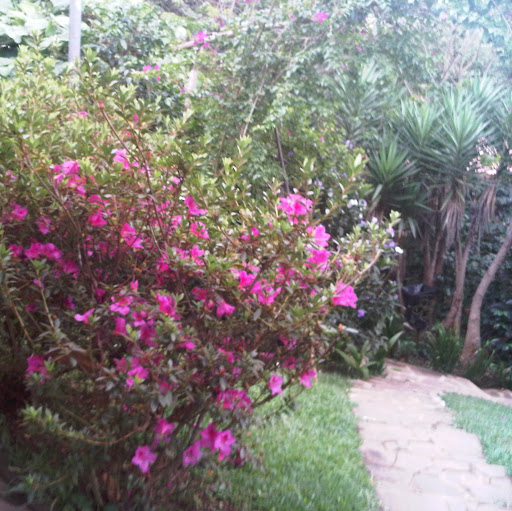 Erlinda Ramirez Photo 9