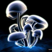 Rashid Chowdhury Photo 4
