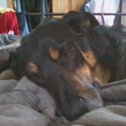 Peggy Silva Photo 11