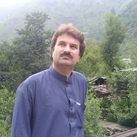 Tariq Shah Photo 7