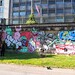 Carl Rubin Photo 26