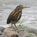 Edwin Green Photo 40