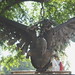 Angel Mendoza Photo 48