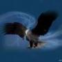 William Montano Photo 12