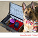 Sheena Heard Photo 14