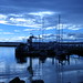 Stephen Manley Photo 37