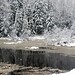 James Forestier Photo 18
