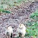 Jane Wickham Photo 31