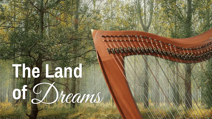 Anne Land Photo 19