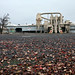 Dallas Mills Photo 35