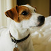 Harry Parsons Photo 42