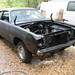 Tracy Dodge Photo 24