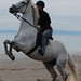 Tasha Wilson Photo 41