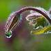 Heather Simonds Photo 25