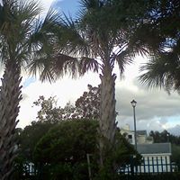 Suzanne Keene Photo 3