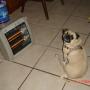 Mary Mccants Photo 18