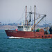 Mark Eisen Photo 29