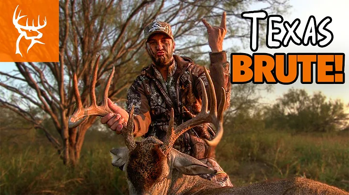 Bryan Hunt Photo 39