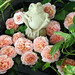 Teresa Craft Photo 29