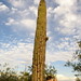 Terri Needle Photo 18