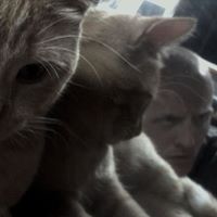 Scott Cook Photo 9