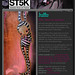 Joshua Stuckey Photo 24