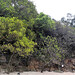 Sai Lau Photo 24