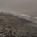 Paul Lesser Photo 18