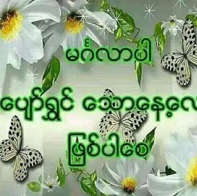 Than Aung Photo 10