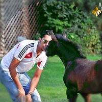 Javier Ortiz Photo 7