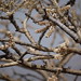 John Campi Photo 26