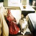Ashley Watson Photo 36