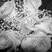 Jennifer Brothers Photo 34