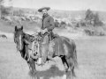 James Strauch Photo 20