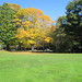 Sandy Burr Photo 32