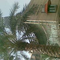 Omar Nur Photo 2