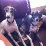 Terri Overton Photo 9
