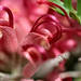 Robin Gordon Photo 43