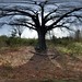 Mark Blackmon Photo 32