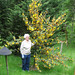 Lynn Bush Photo 34