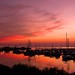 Miles Long Photo 42