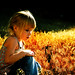 Nathaniel Bell Photo 44