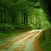 Ngan Truong Photo 34