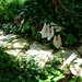 Carolyn Stone Photo 36