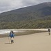 Erica Beach Photo 27