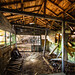 Agustin Reyes Photo 34